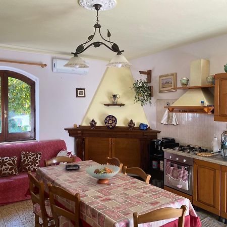 Guest House Brandino Pani Tertenìa Kültér fotó