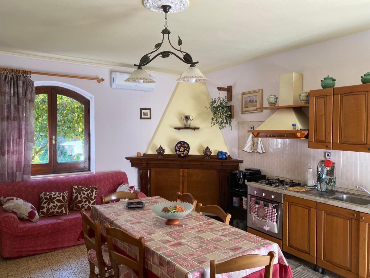 Guest House Brandino Pani Tertenìa Kültér fotó