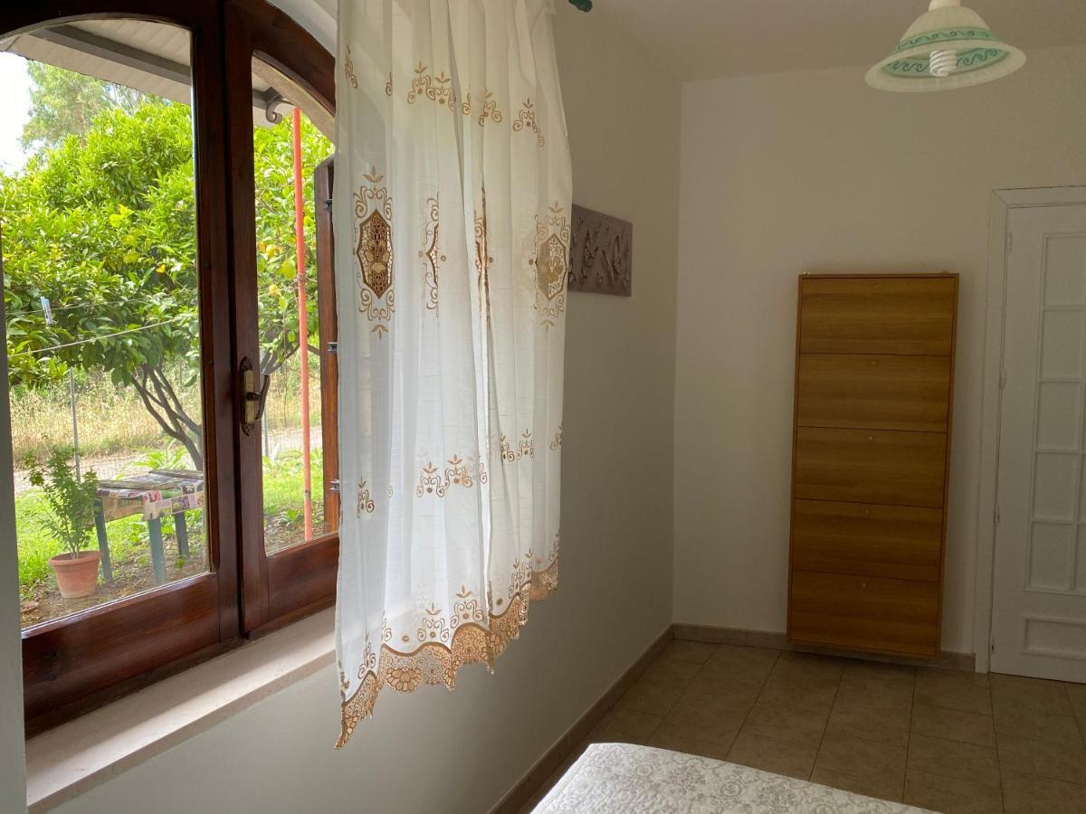 Guest House Brandino Pani Tertenìa Kültér fotó